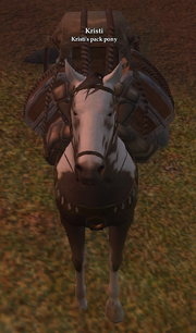 pack pony