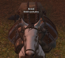 Summon Artisan's Pack Pony