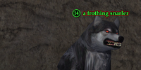 A frothing snarler