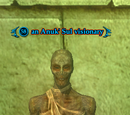 An Anuk' Sul visionary