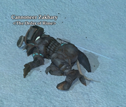 Cannoneer Zakhary