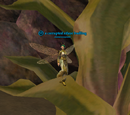 A corrupted sifaye budling