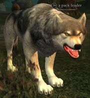 Pack leader
