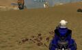The Burial Site.jpg