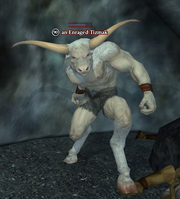 An Enraged Tizmak