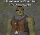A Bonebreaker Champion