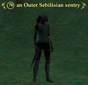 An Outer Sebilisian sentry