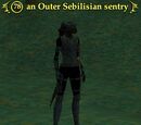 An Outer Sebilisian sentry
