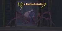 A drachnid ritualist