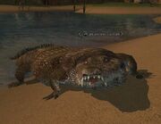 An ancient caiman