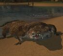 An ancient caiman