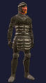 Armor of the night.jpg