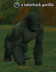 A tatterback gorilla