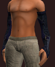 Occultist's Epaulets of the Citadel (Equipped)