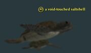 A void-touched saltshell