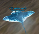 A gliding wave