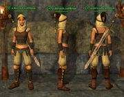 Dervish (Brigand) Placed