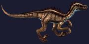 Raptor Plushie (Visible)