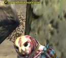 An othmir survivor