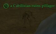 A Cabilisian ruins pillager