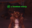 A Sootfoot whelp