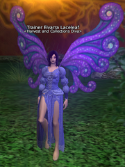 Trainer Eivarra Laceleaf