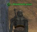 A Bloodskull priest