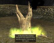 A Mystical Revelation