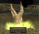The Void Influence