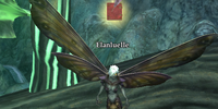 Elanluelle