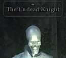 The Undead Knight