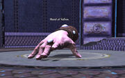 Hand of Vallon (Epic)
