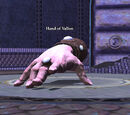 Hand of Vallon (Challenge Mode Epic)