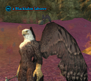 A Blacktalon laborer