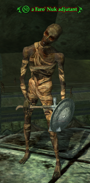 A Faro' Nuk adjutant