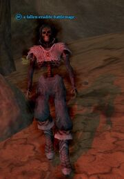 A fallen erudite battlemage