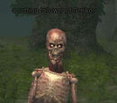 A rotting follower of Grelkor