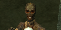 An Anuk' Sul chancellor (Living Tombs)