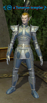 A Tunarian templar