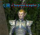 A Tunarian templar