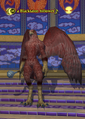 A Blacktalon follower.png