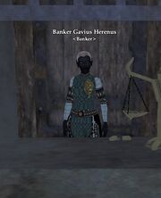 Banker Gavius Herenus