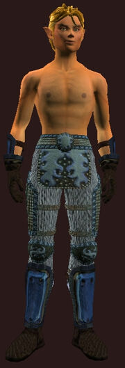 Chain Armor of the Cutthroat(Worn)