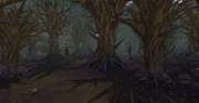 Waning Forest