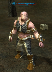 A Vallon cryptologist