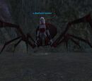 A drachnid hunter