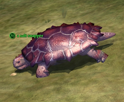 A salt snapper