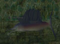 A bile bladetip.jpg