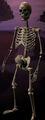 Race skeleton.jpg
