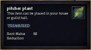 Pitcher plant
